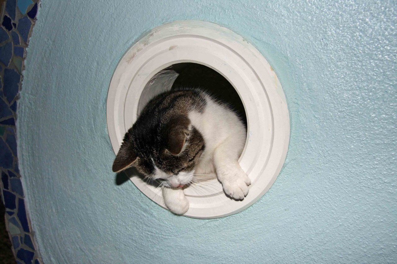 Rundes Wandfenster in hellblauem Putz, eine Katze sitzt darin